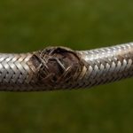 Emergency Plumber Tips for Dealing with Burst Pipes