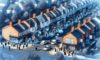 House Clearance Costs in the UK: A Key Negotiation Guide