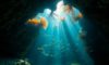 Belize Diving: Unveil Hidden Underwater Treasures Beyond the Blue Hole