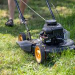 Grass Cutting Services in Montacute: Expert Tips and Choices