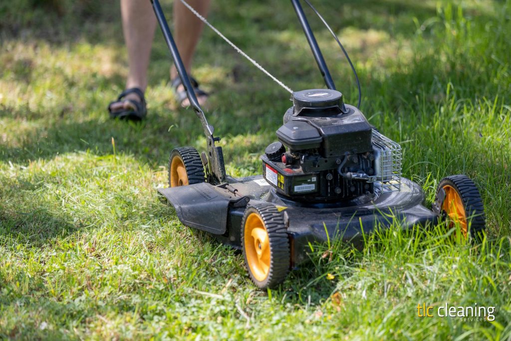 Grass Cutting Services in Montacute: Expert Tips and Choices