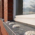 Bird Proofing Solutions: Gel Repellent Options Without Spikes