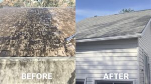 Explore the Essential Benefits of Soft Washing for Effective Home Maintenance