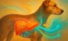Liver Health Monitoring: Key Care Tips for Your Dog
