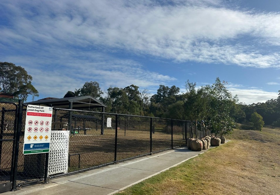 Tree Planting at Rutherford Dog Park, Maitland