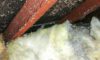 Asbestos Concerns: Essential Tips for Selecting a Skip Hire Service