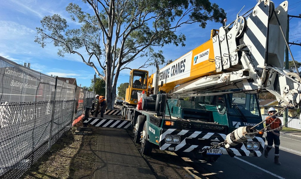Crane-Assisted Tree Removal in Edgeworth: A Case Study