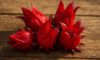 Hibiscus Flowers: Creative Techniques for Cooking Delights