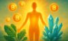 Clean Energy Supplements: Optimal Picks for Enhanced Vitality